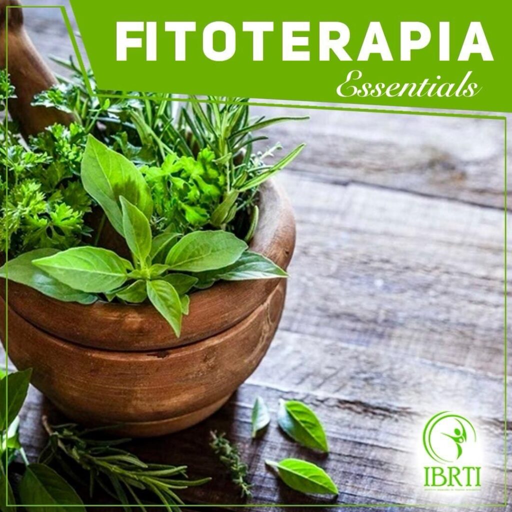 PARA VOCÊ QUE OBJETIVA UM CURSO RÁPIDO PARA ENTENDER O TEMA E A TÉCNICA, ANTES DE DECIDIR FAZER UMA FORMAÇÃO ESPECIALIZADA NA TERAPIA

PROGRAMA  ESSENTIALS –  100% on line