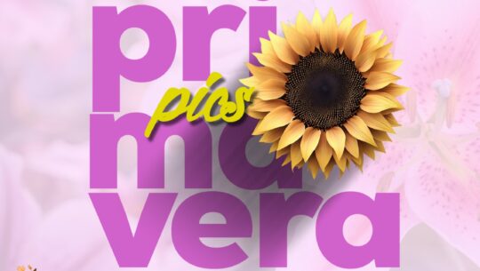 Curso PICS PRIMAVERA
